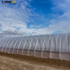 Fruit Growing Hoop House Single Span Agricultural Greenhouse Tunneling For Fruit/ Strawberry/Blueberry/Cherry/Grape Growing