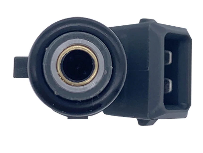 Durable Engine Parts Fuel Injectors Fuel Injection Valve For Great Wall 1100110-EG01