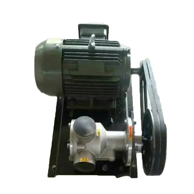 Stainless steel high viscosity health molasses pump can be used explosion proof motor