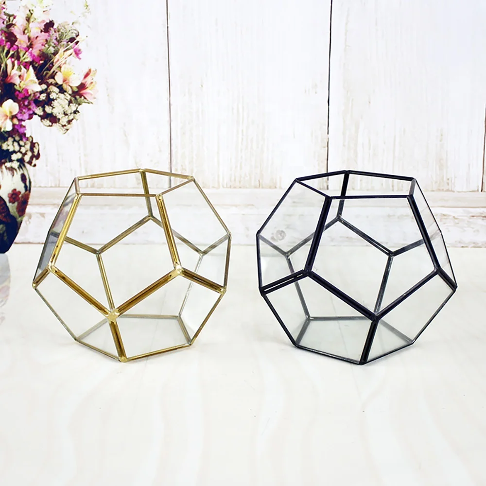 Beautifully designed geometric truncated cube terrarium for Plants grow