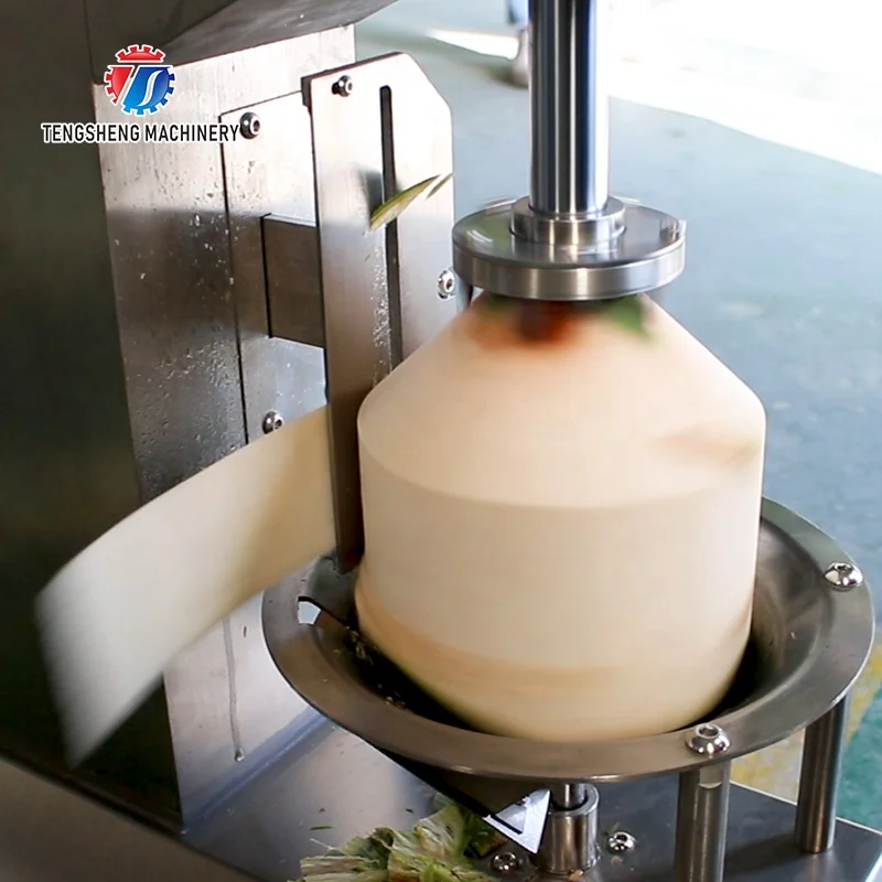Hot Sale High-efficiency Commercial Coconut Peeling Machine for Catering