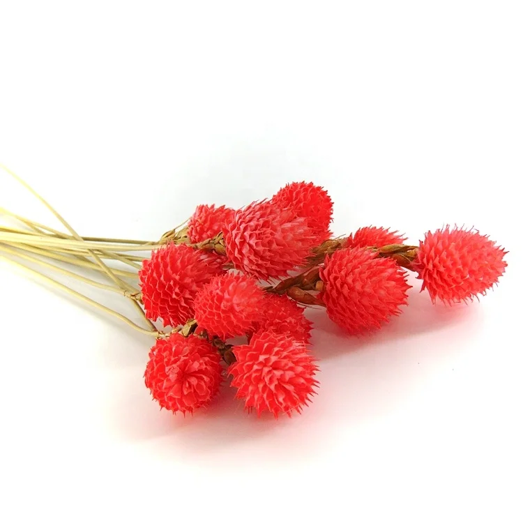 2022 hot sale red preserved globe amaranth preserved flowers flower foam garland of stars
