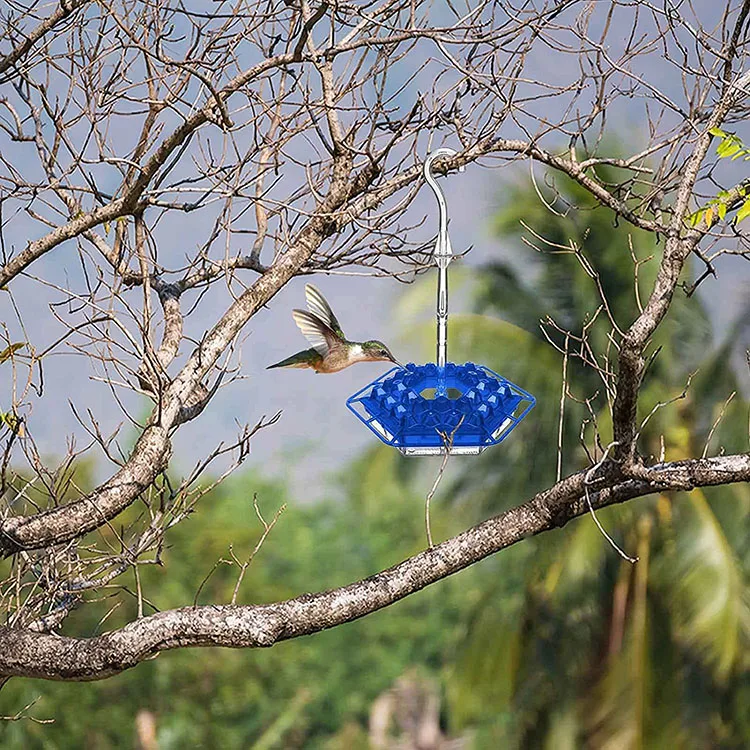 Forest Garden Hook Hexagonal Hole Pet Wild Bird Hummingbird Water Feeder Hanging Vajilla De Aves Supplies Products Accessories
