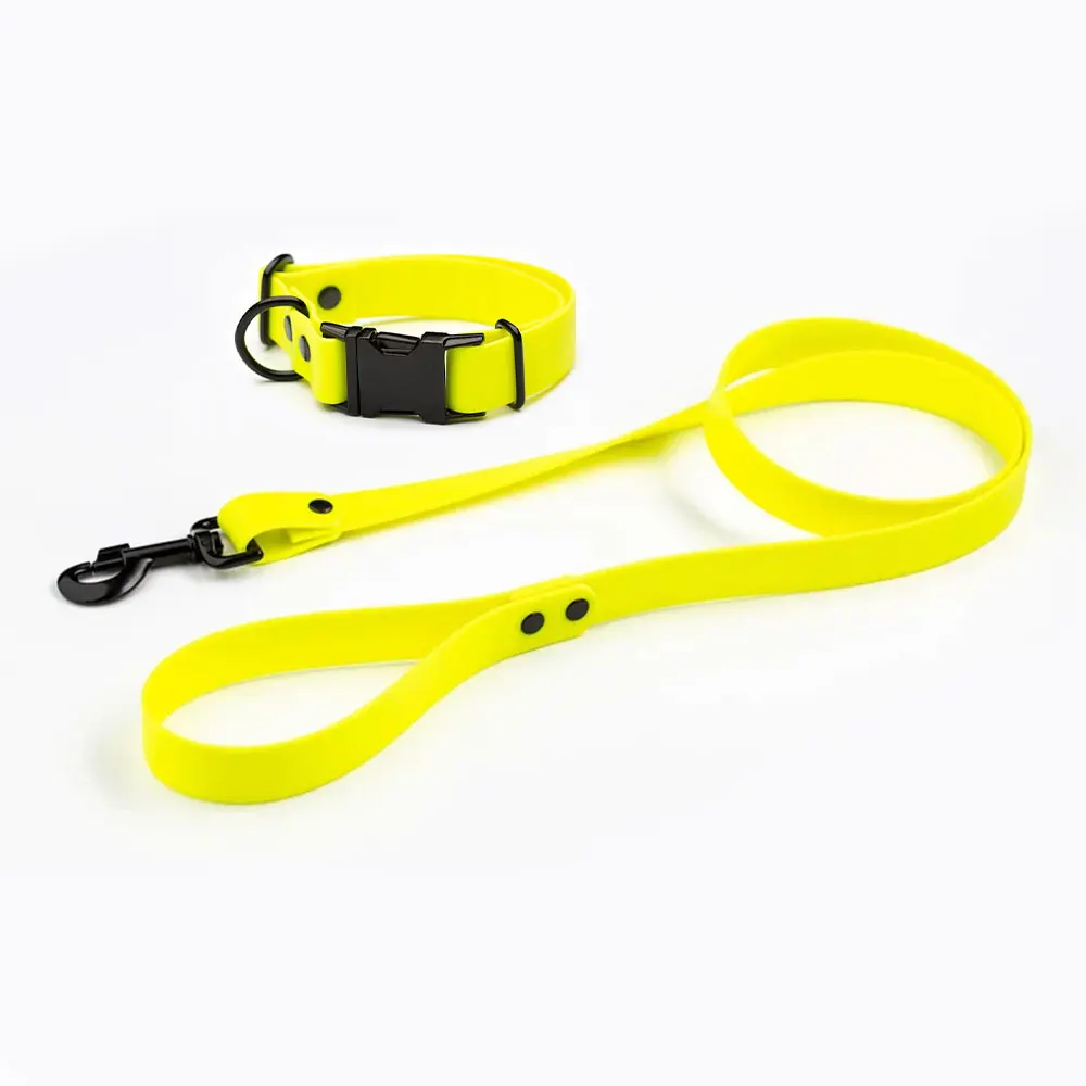 2023 High Quality Design PVC Neck Divtop Pet Collar&Leash Waterproof Coated Webbing Pet dog Leash And Collar