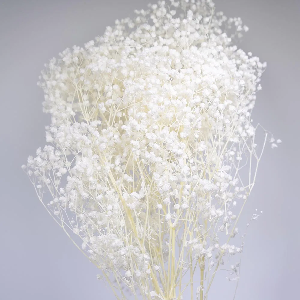 UKIQUEEN Wholesale 70cm Bleached White Decorative Dried Flowers Baby Breath Preserved Gypsophila