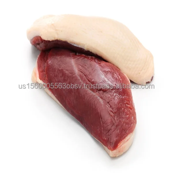 Premium duck breast fillet Wholesale duck breast products