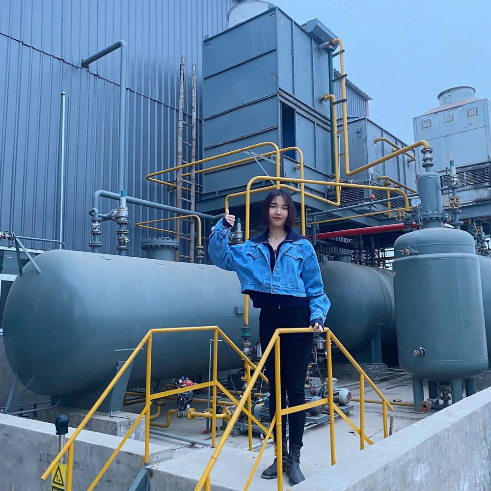 Silicone Hydrophobic water repellent powder SHP Silicone Hydrophobic powder rigid waterproof material for building cement-based