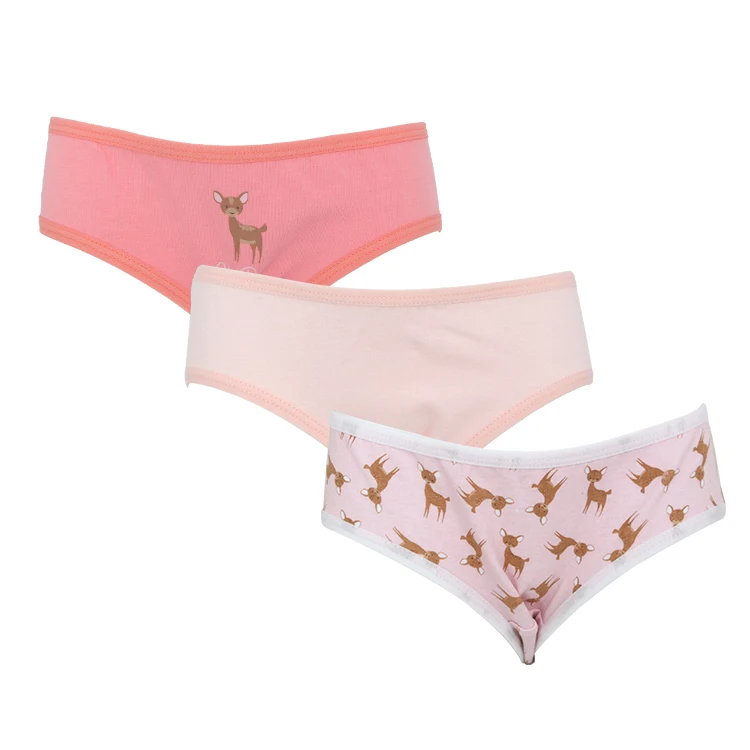  Lady Breathable Underpants Pretty Flower Printed 9-20Years Teenage Puberty Girl Cute Briefs Cotton Soft Panties for