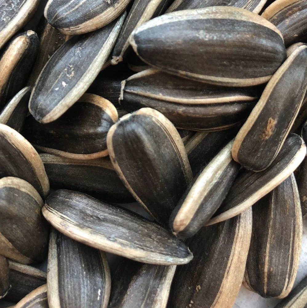 Oil sunflower seeds ukraine prices
