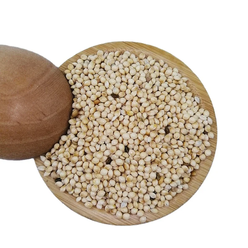 Wholesale Top Quality White Broom corn Millet