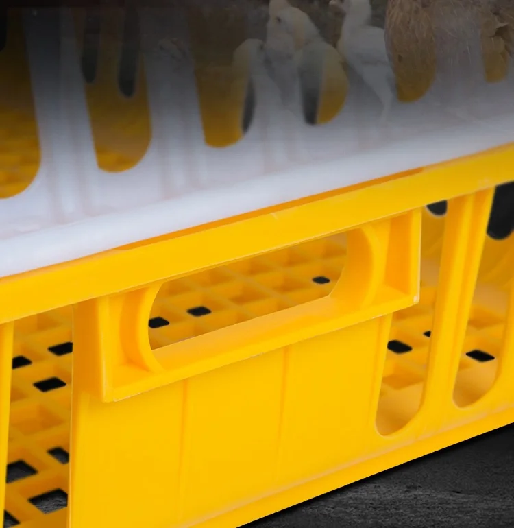 Plastic Poultry Transport Cage Chicken Crates Box Chicken Transport Cage