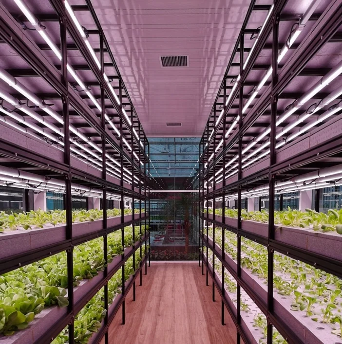 Vertical Hydroponics Container Vertical Farming Systems Commercial Greenhouses