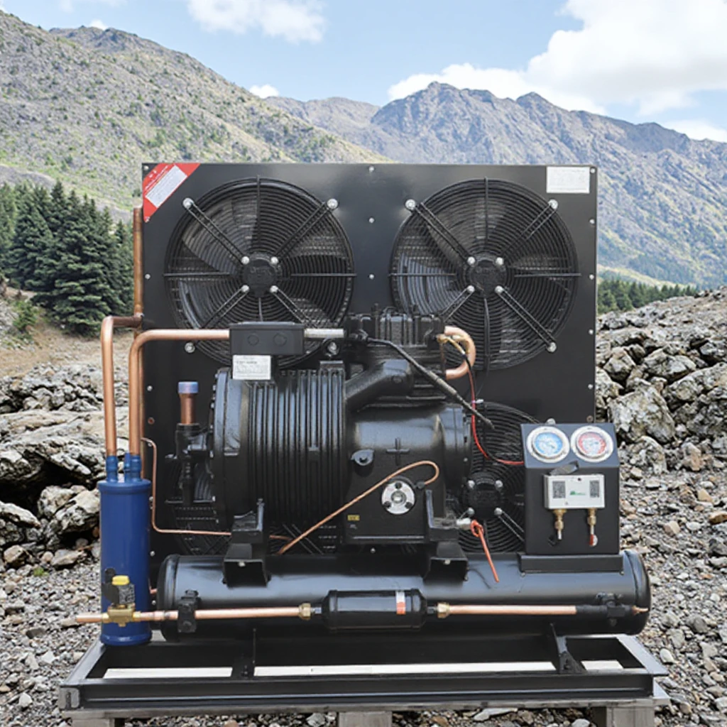 15 HP Semi-Hermetic Piston Copeland Refrigeration Screw Compressor Condensing Units with Spare Parts