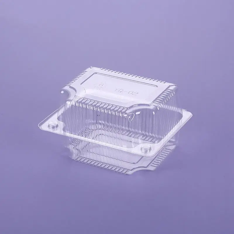 Transparent Take Away Food Box Packaging Plastic Containers Manufacture Cake Container