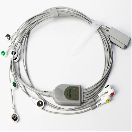 ECG Holter 10LD cable compatible for Borsam/Vales & Hills CV200/Zoncare/Nalong/MedEx