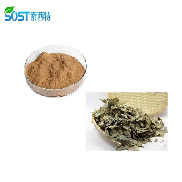 
Epimedium Grandiflorum Sagittatum Leaf Extract for Men Sexual Enhancement 