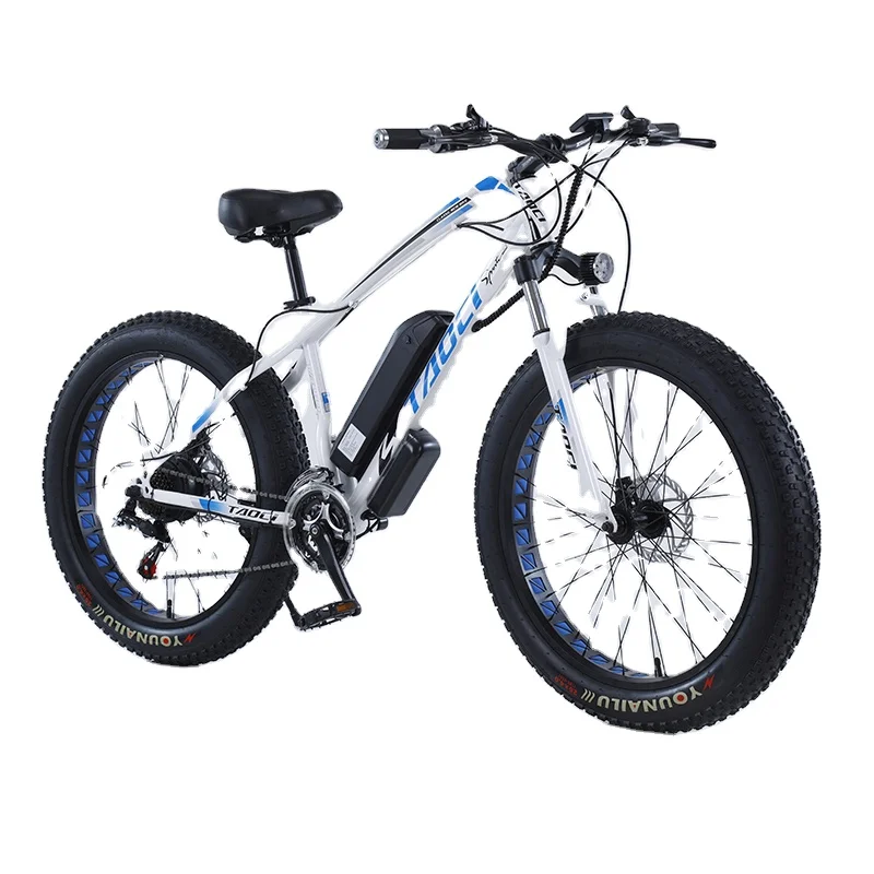 China 26 Inch Cheap Foldable Electric Fat Tire Bicycle 36v 350w Adult Electric Mountain e Bike 10ah Lithium Battery Snow Ebike