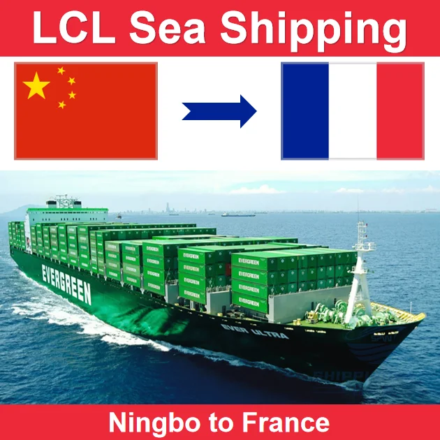LCL Sea Freight Shipping From Shenzhen Guangzhou Shanghai Ningbo China to France by Door to Door and Customs Clearance Services