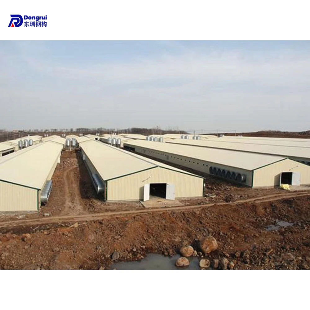 prefab modern houses of chicken poultry house construction