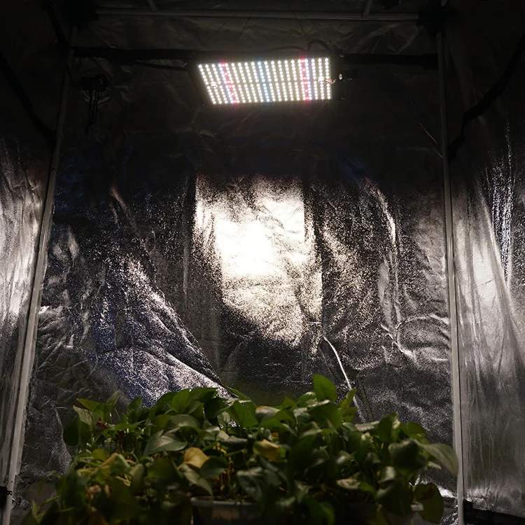 Latest Generation 120w Led Grow Light Full Spectrum Samsung Led Chip Panel Grow Light Indoor Plant