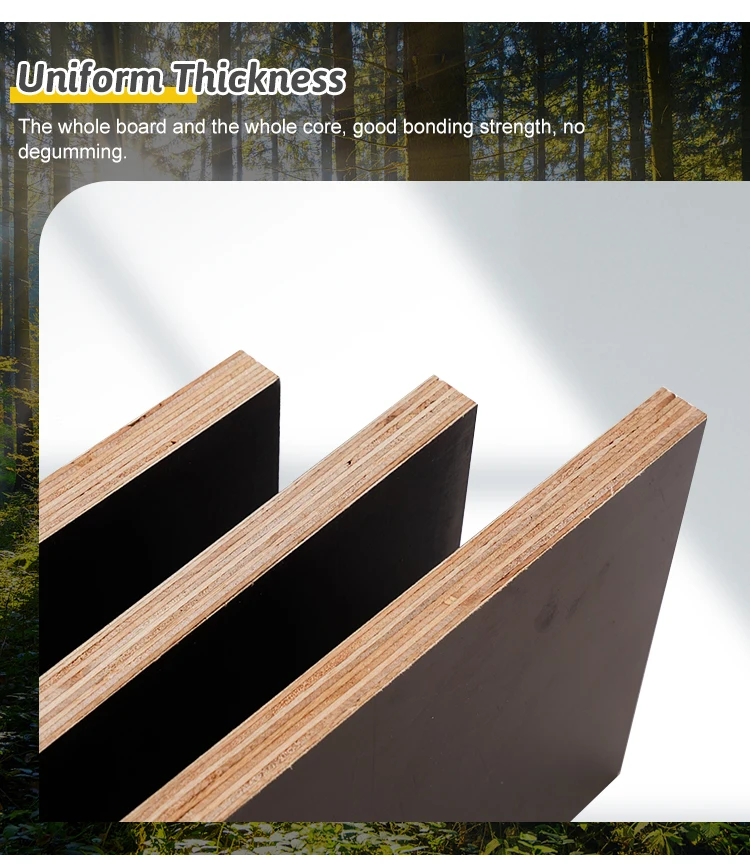 Film-faced-plywood_04