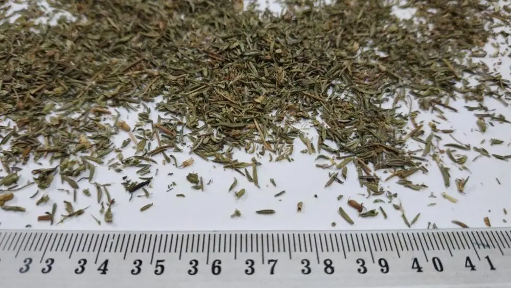 Thyme leaves - Thymus vulgaris - Polish native herbs, spices and vegetables - Manufacturer, Exporter
