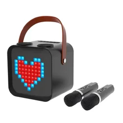 Portable Karaoke Machine LED Screen BT5.0 Wireless karaoke speaker with wireless microphone