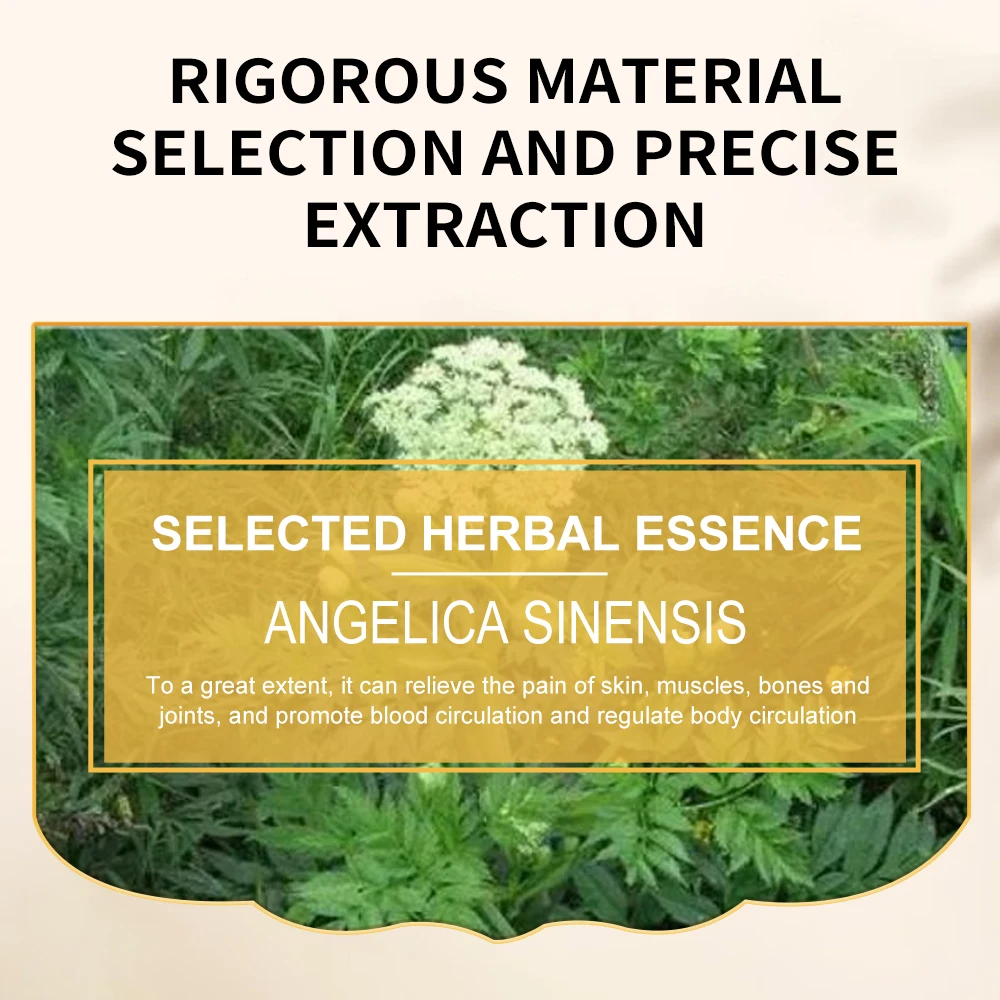 Chinese Herb Oil for Body Massage Relaxation of Muscles and Bones Angelica Sinensis Essence