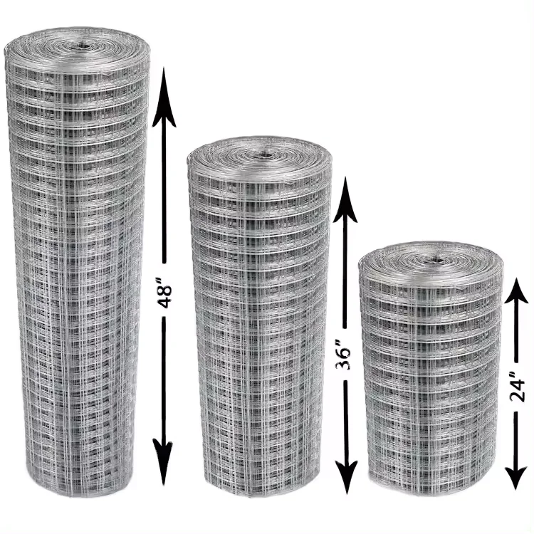 welded wire mesh galvanized welded wire mesh roll for garden fence