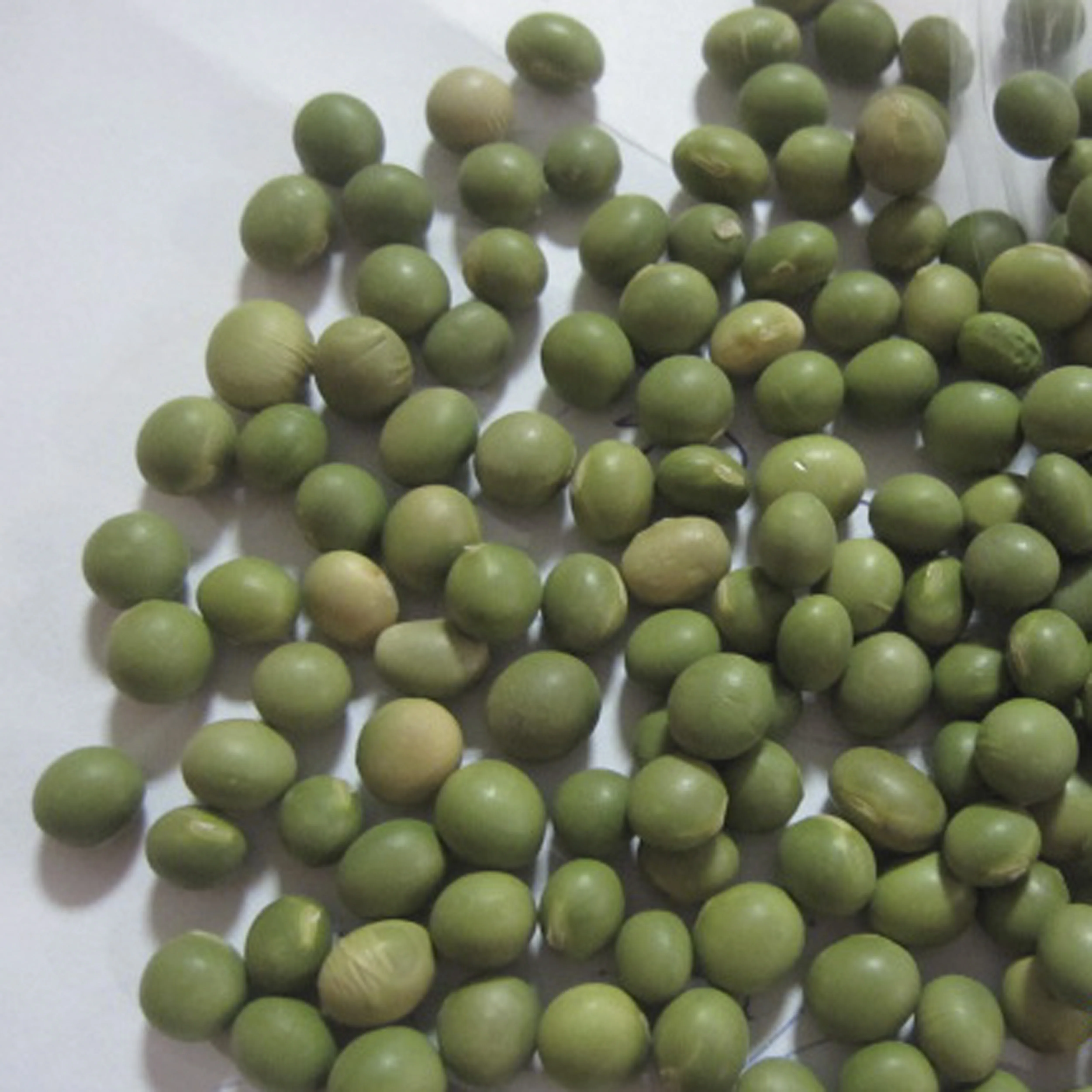 china tofu use soybean milk sprouting soybean different size can choose double mung bean