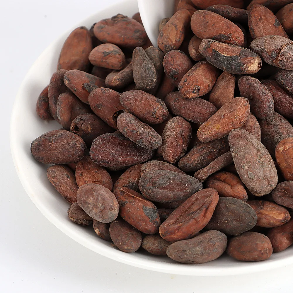Quality Raw Dried Cocoa High Quality Brazil Cocoa Beans Cacao Beans Chocolate factory price
