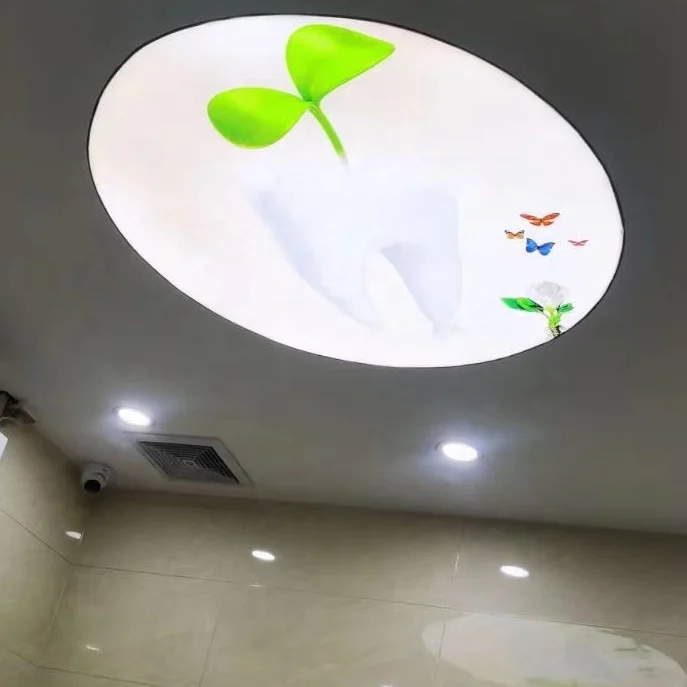 ZHIHAI home building material roof decorative ceiling tile