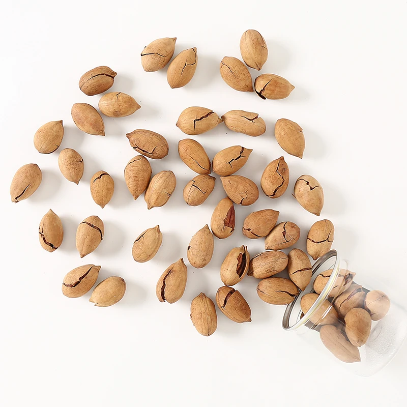 China factory  Wholesale Pecan Nuts MOQ 1000KG