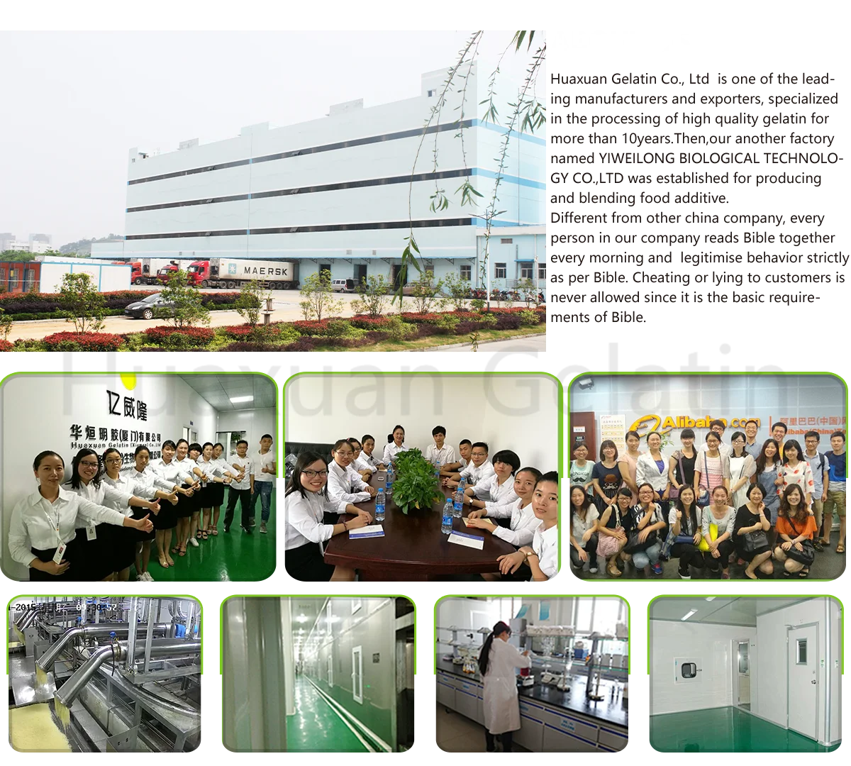 
Halal edible dessert good quality leaf gelatin sheets 