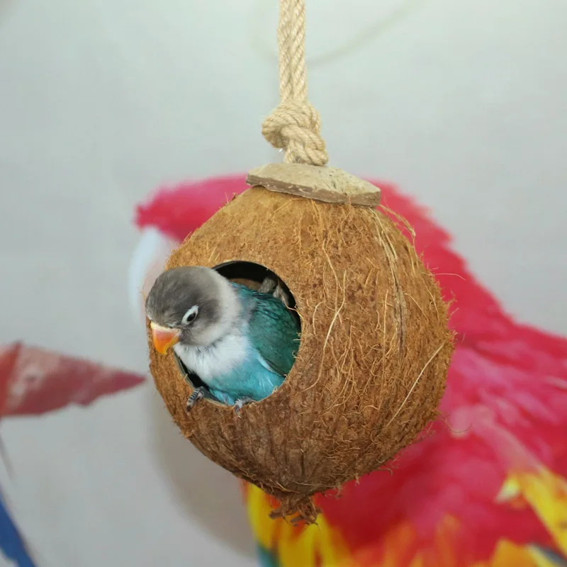 Cute Coconut Bird Nest Hut with Ladder for Parrots and Seagrass NEST FOR Birds Encourages Courtship Breeding and Nesting