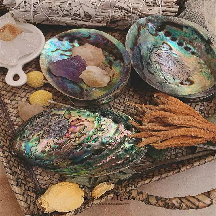 10-12cm Natural Craft Seashell Polished Chakra Gift Box Abalone Shell