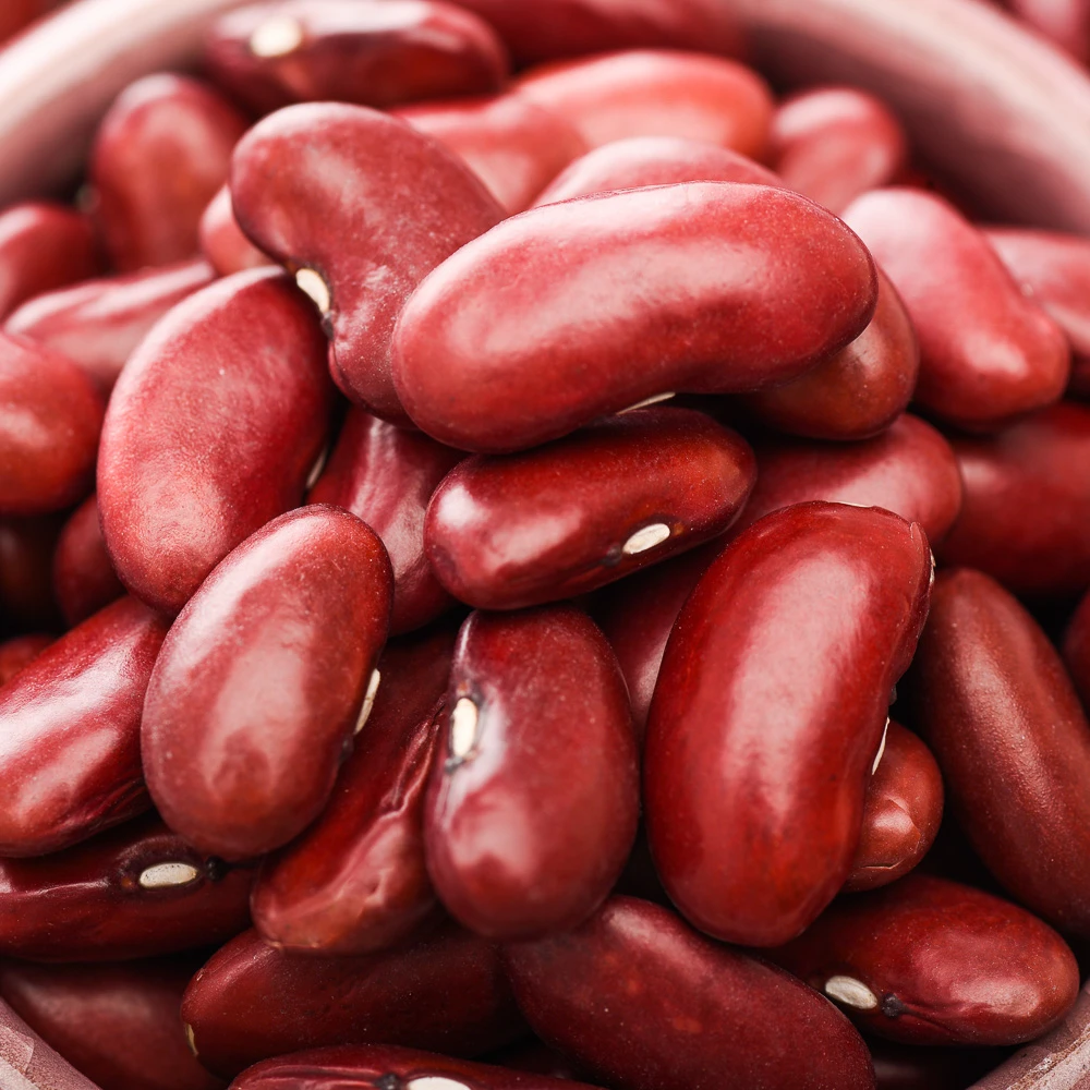 High Quality Kidney Red Beans Chinese New Crop Dry Dark Red Kidney Beans For Wholesale Price