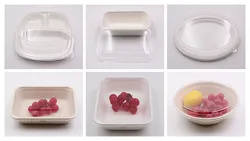 pla biodegradable clear lids