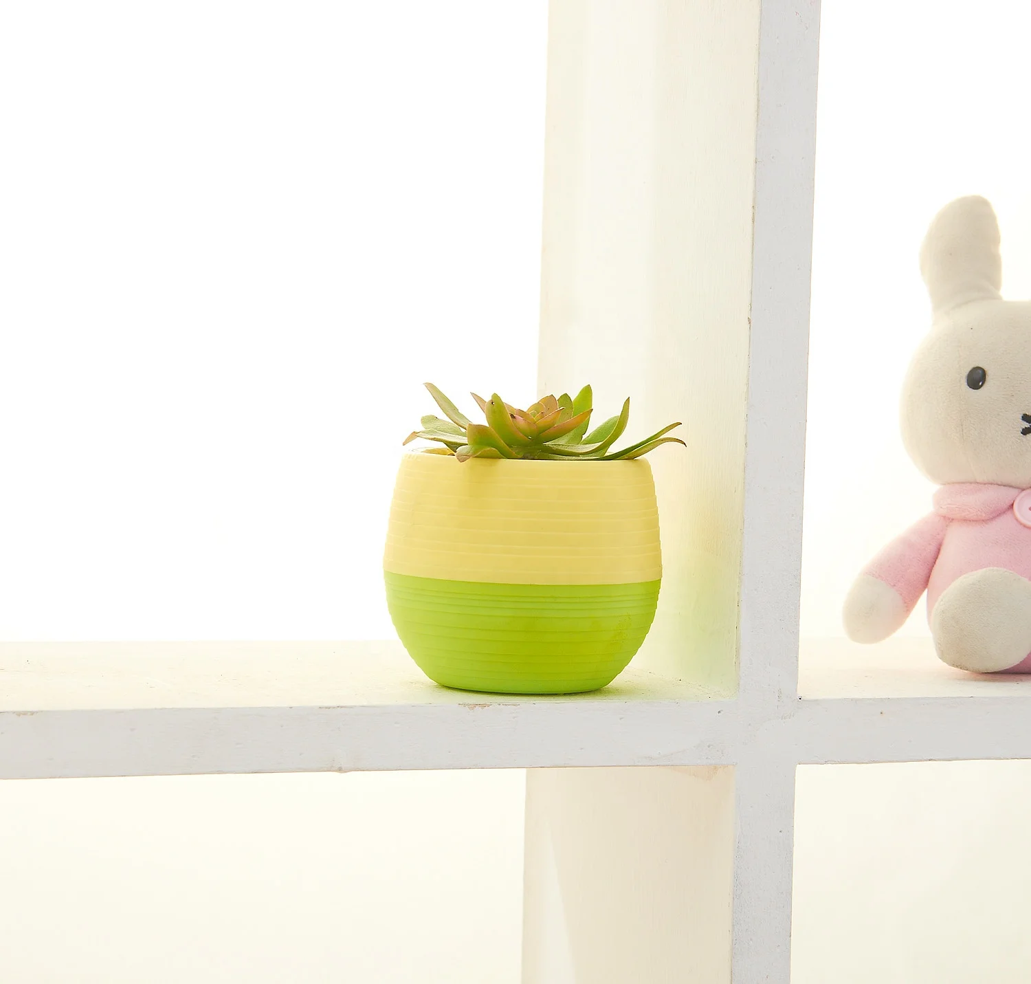 Cute Egg Shape Mini Colorful 4 inch Round Plastic Cactus Seed Starting Succulent Flower Pots With Drainage hole