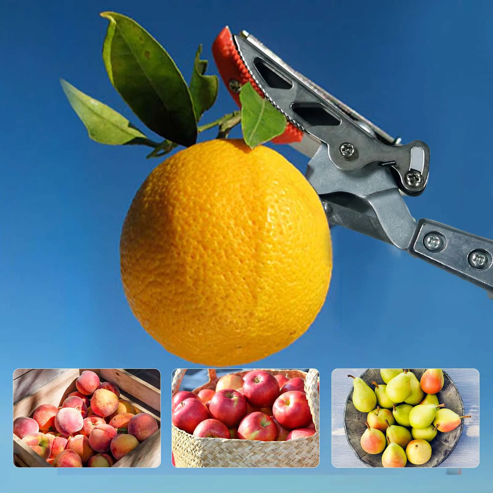 Long Length Folding Garden Picking Tools Cutter Picking Tools Tree Shears Fruit picker