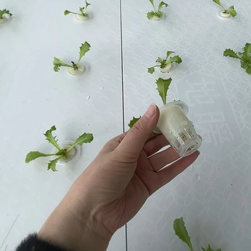 Скамья для выращивания цветов