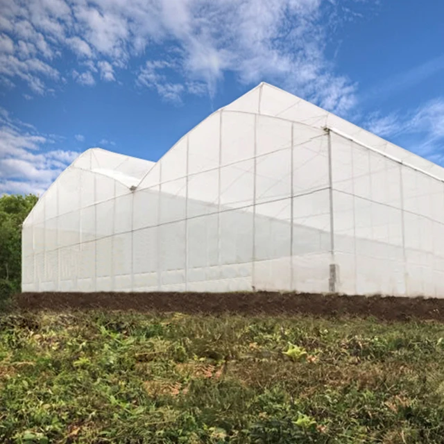 Automatic roof vents greenhouse for agriculture