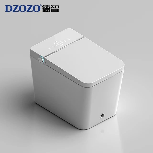 Wholesale Automatic Sanitary Smart Bidet Toilet with Water Tank Ware Items Ceramic Bowl Bathroom Wc Intelligent