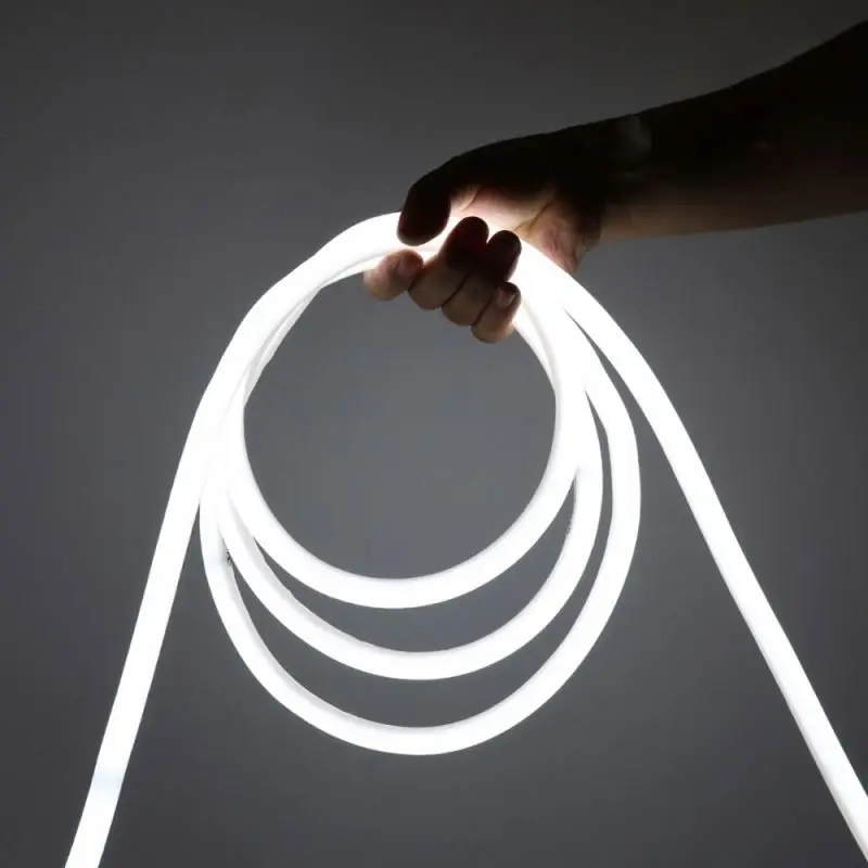 Led Strip Light neon 220V/12V SMD2835 120led/M Waterproof Flexible Light WaterproofIP67 Festival Decoration Neon Lights CRI 90
