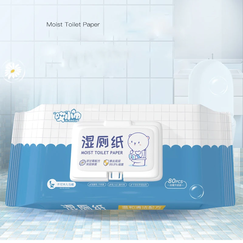 Individual Packaging Purified Water Wet Toilet Paper Ro Cleansing Wipes Flushable Moist Toilet Wet Wipes