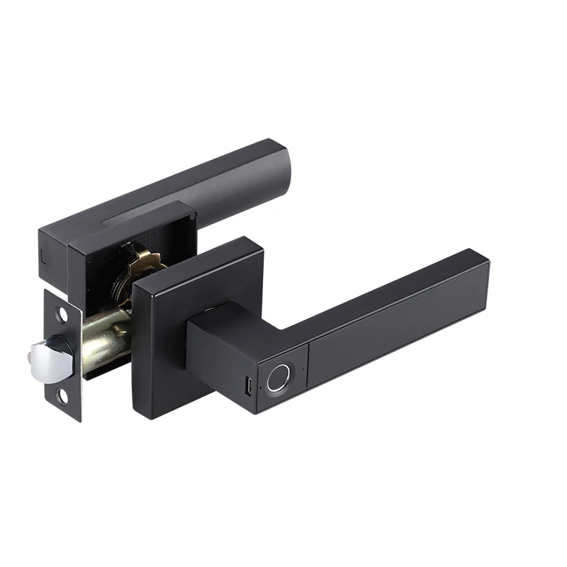 Smart Zinc Alloy Anti Theft Entrance Door Tubular Heavy Duty Electric Lever Handles Fingerprint Door Lock