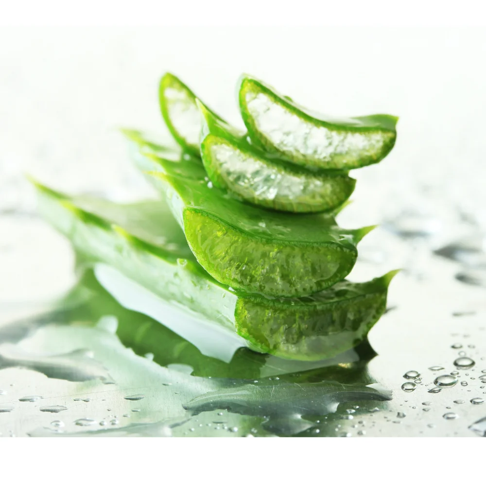 Натуральный сок алоэ, сделанный в Италии, купить оптом