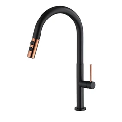 Kitchen faucet Brass body pull out kitchen sink faucet