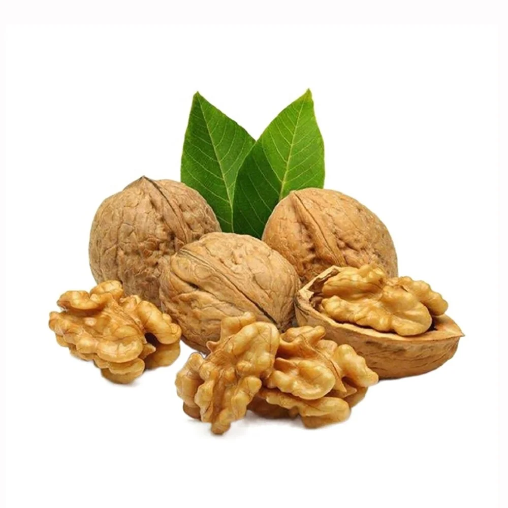 Factory Wholesale Top Quality Healthy Snacks Nuts Thin Skin Paper Shell Xinjiang Walnuts