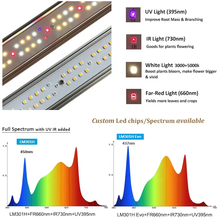 led chips spectrum 1.jpg